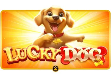 Struktur tier loyalitas pgbet dari Bronze hingga Diamond dengan benefit cashback mingguan